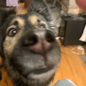 Meet your Posher, Adeline